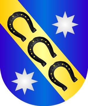 ESCUDO ALEATORIO
