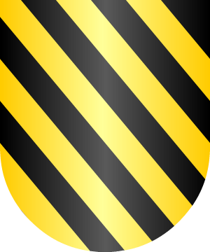 ESCUDO ALEATORIO