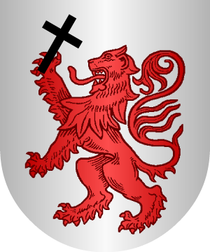ESCUDO ALEATORIO