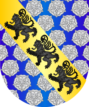 ESCUDO PRECEDENTE