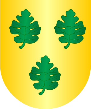 ESCUDO PRECEDENTE