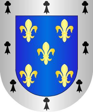 ESCUDO ALEATORIO
