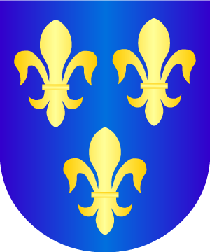 ESCUDO SIGUIENTE