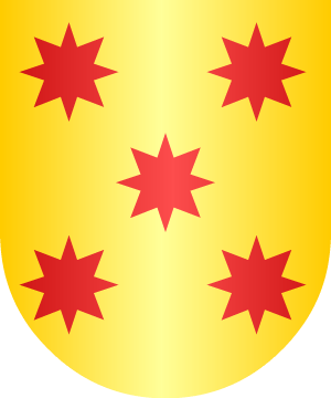 ESCUDO ALEATORIO