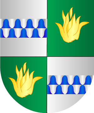 ESCUDO ALEATORIO