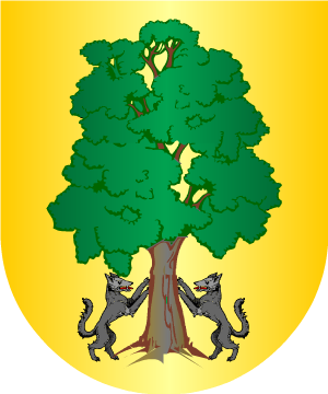 ESCUDO SIGUIENTE