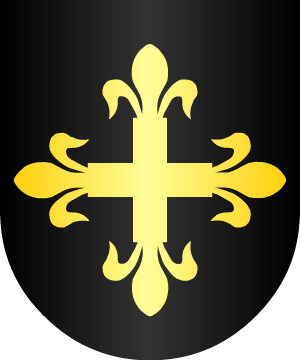 ESCUDO ALEATORIO