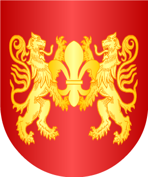 ESCUDO ALEATORIO