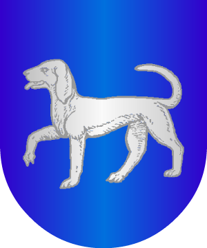 ESCUDO ALEATORIO