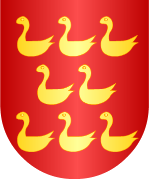 ESCUDO ALEATORIO