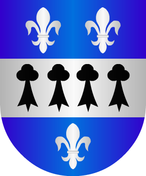 ESCUDO ALEATORIO