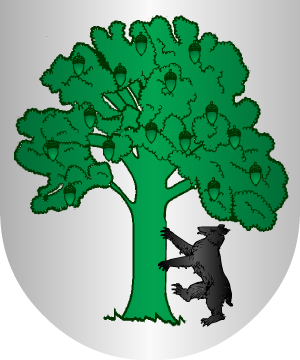 ESCUDO ALEATORIO