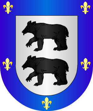 ESCUDO ALEATORIO