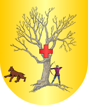 ESCUDO ALEATORIO