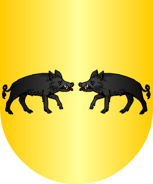 ESCUDO ALEATORIO