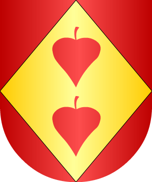 ESCUDO ALEATORIO