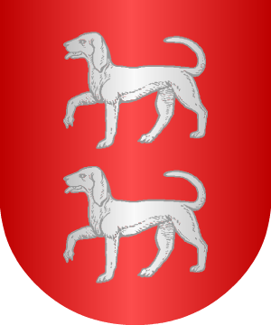 ESCUDO ALEATORIO