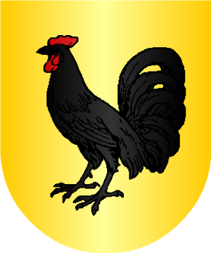 ESCUDO SIGUIENTE