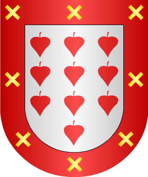 ESCUDO SIGUIENTE