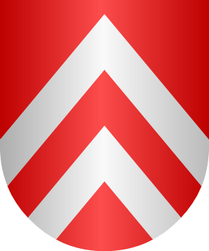 ESCUDO ALEATORIO
