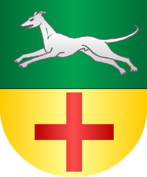 ESCUDO ALEATORIO