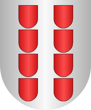 ESCUDO ALEATORIO