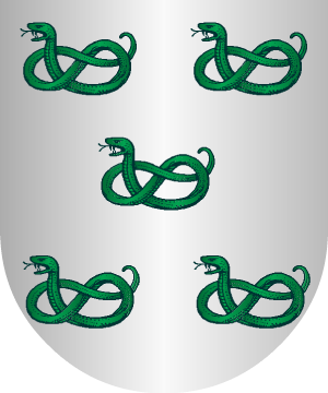ESCUDO ALEATORIO
