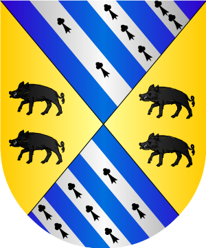 ESCUDO ALEATORIO