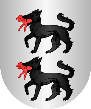 ESCUDO ALEATORIO