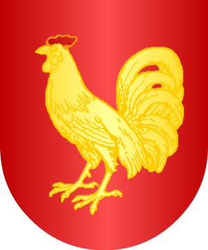 ESCUDO ALEATORIO