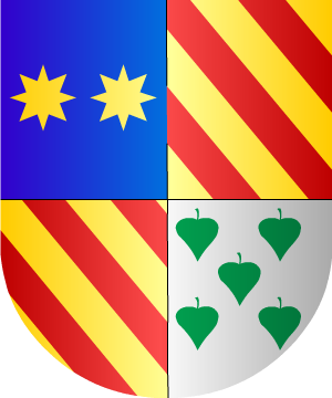 ESCUDO ALEATORIO