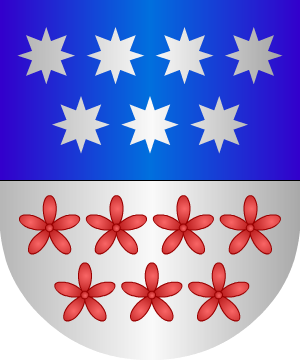 ESCUDO ALEATORIO