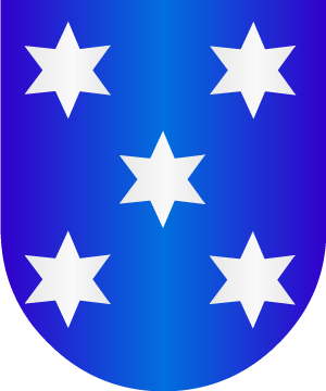 ESCUDO ALEATORIO