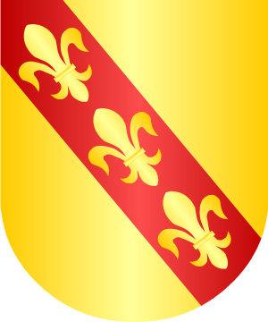 ESCUDO SIGUIENTE