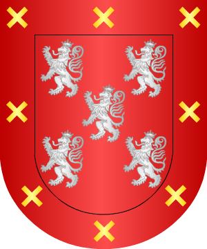 ESCUDO ALEATORIO