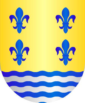 ESCUDO SIGUIENTE