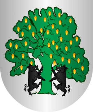 ESCUDO PRECEDENTE