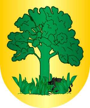 ESCUDO ALEATORIO
