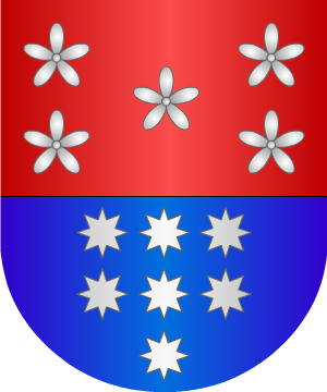 ESCUDO ALEATORIO