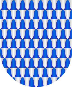 ESCUDO PRECEDENTE