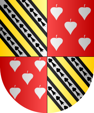 ESCUDO PRECEDENTE