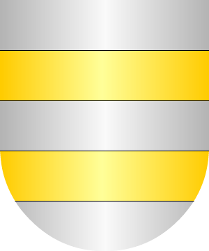 ESCUDO ALEATORIO