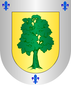 ESCUDO ALEATORIO