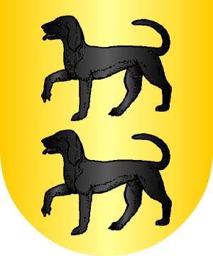 ESCUDO PRECEDENTE