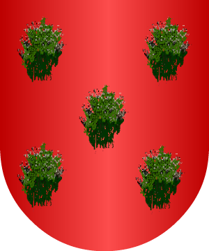 ESCUDO ALEATORIO