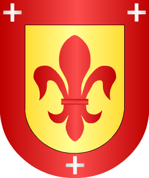 ESCUDO ALEATORIO