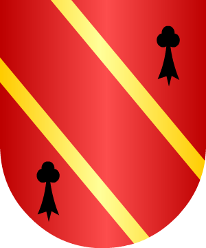 ESCUDO ALEATORIO