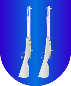 ESCUDO SIGUIENTE