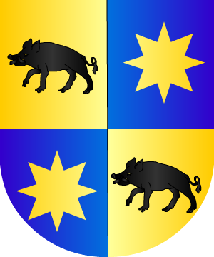 ESCUDO ALEATORIO
