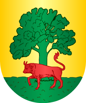 ESCUDO ALEATORIO